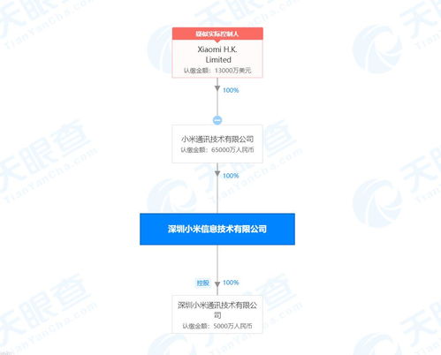林斌卸任深圳小米信息技术职务，王川接棒引领技术服务与技术开发新篇章